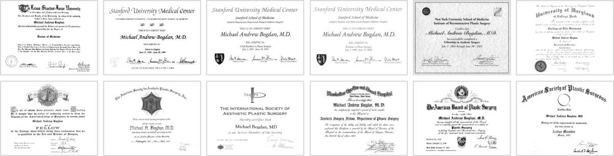 Dr. Bogdan's licenses and certificates
